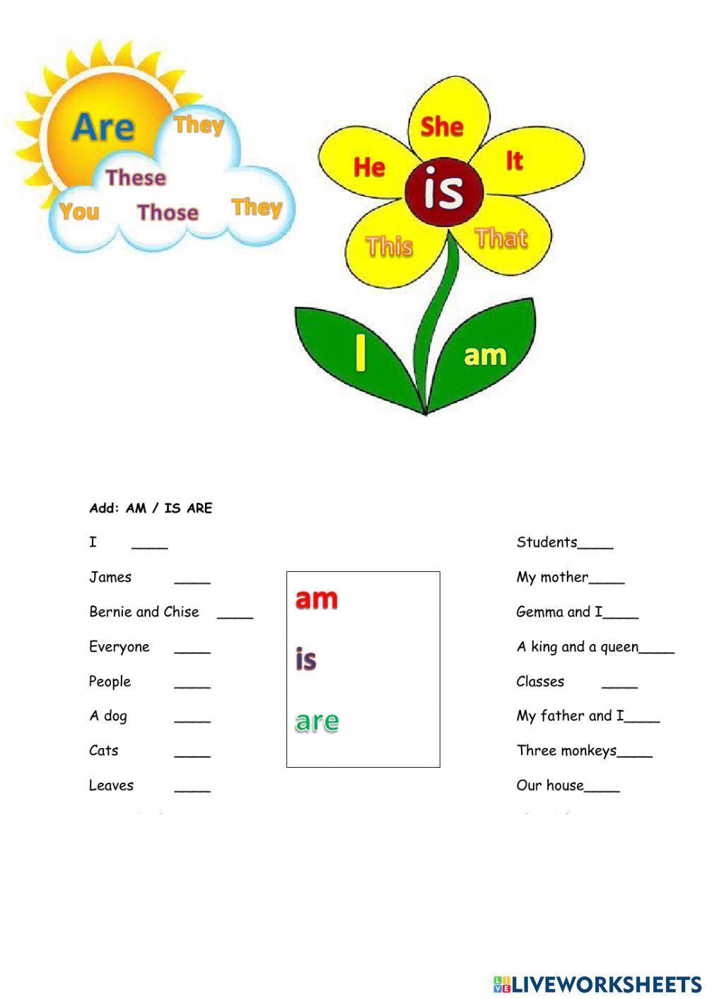 Level 1 am is are revision