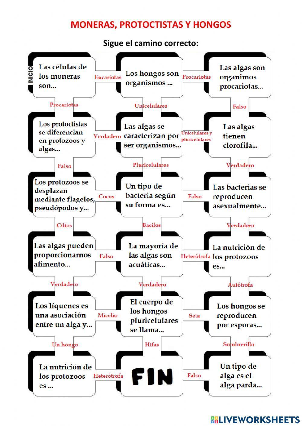 Laberinto moneras, protoctistas y hongos