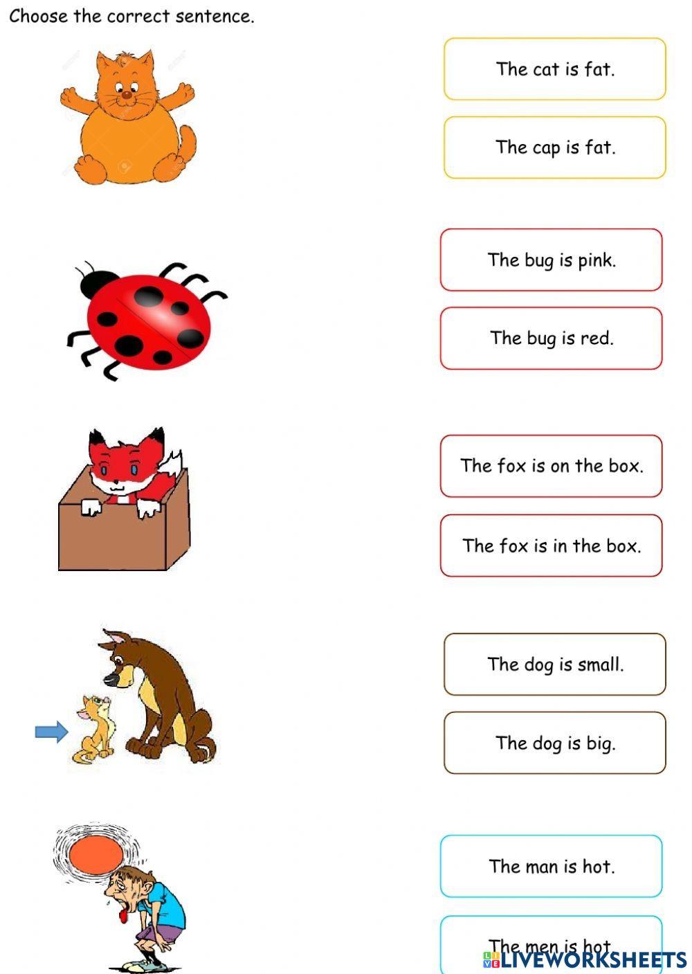 Choose the correct sentence