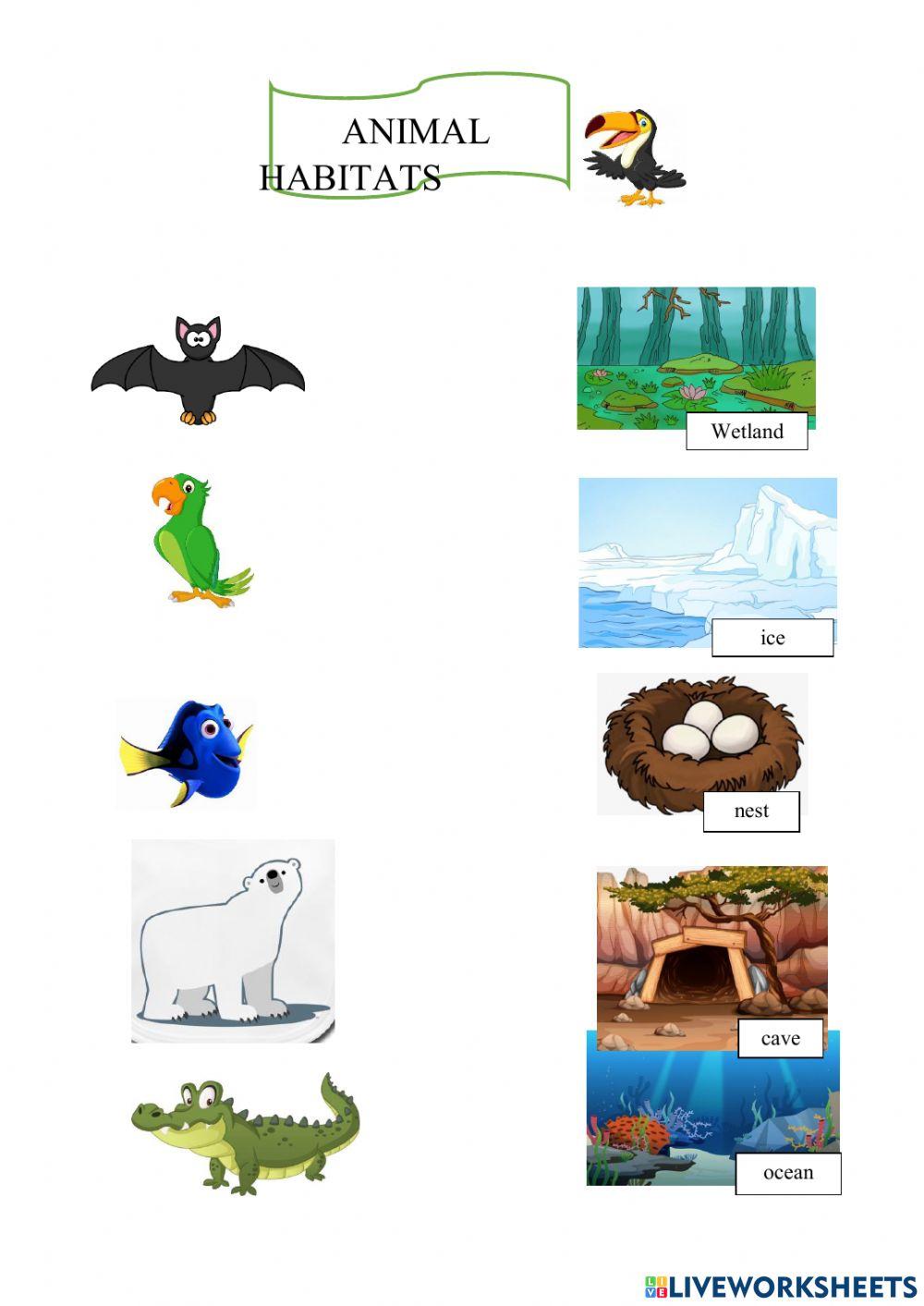 Animal habitats Animal habitats