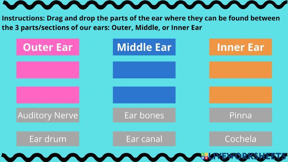 The Sense of Hearing GSD 3