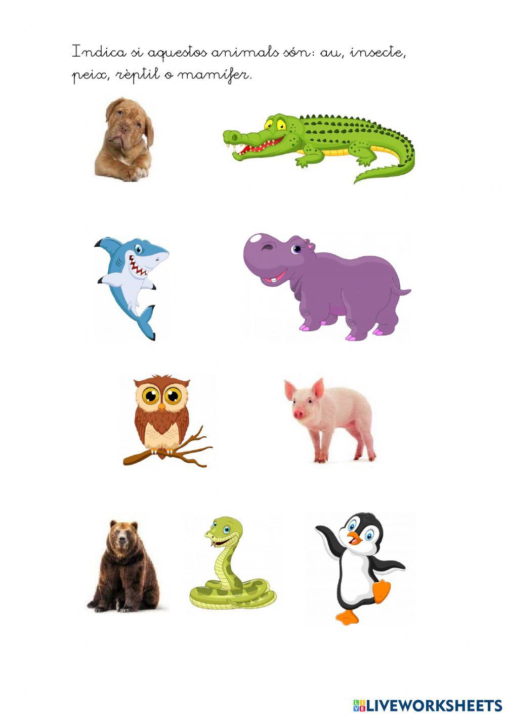 Classificació dels animals