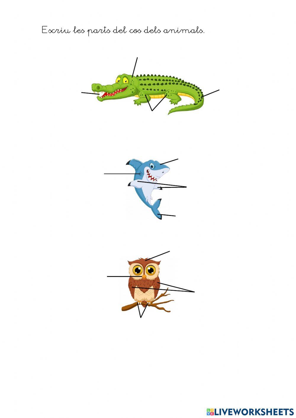 Parts del cos dels animals