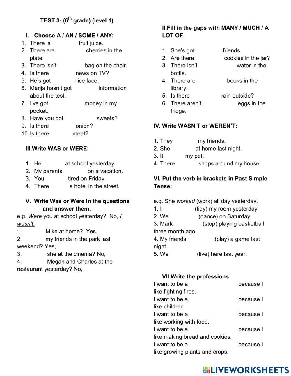 Test 3 6th grade Level 1