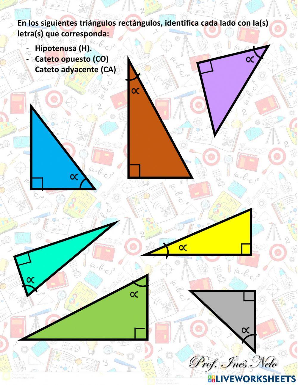 Identifica los catetos en un triángulo rectángulo