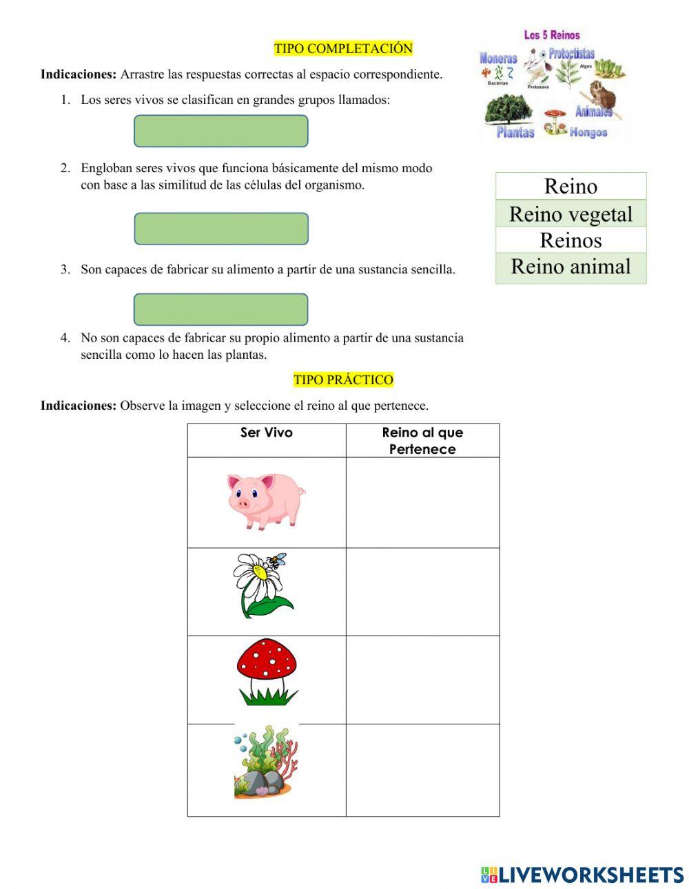 Examen de ciencias naturales