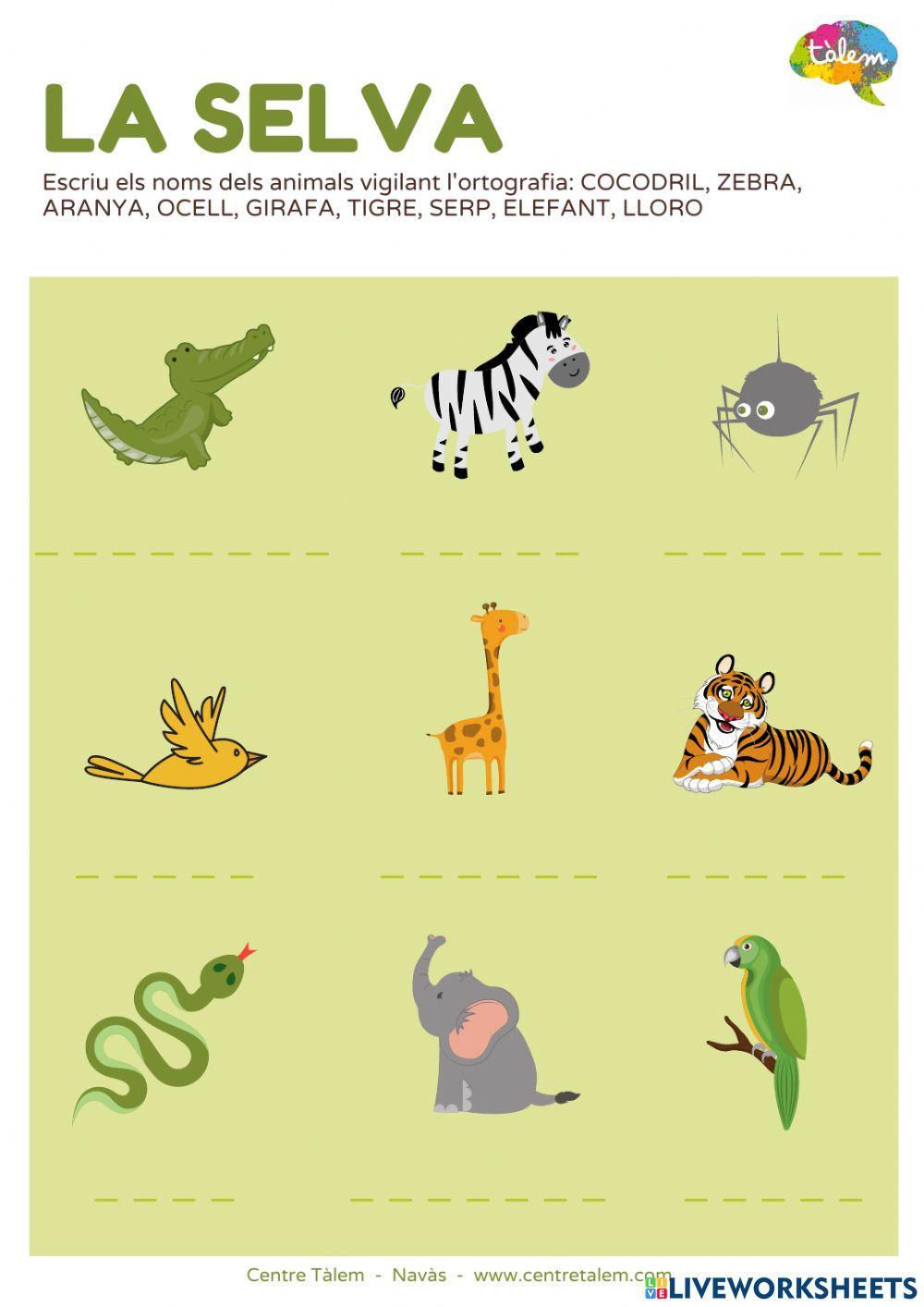 Animals de la selva