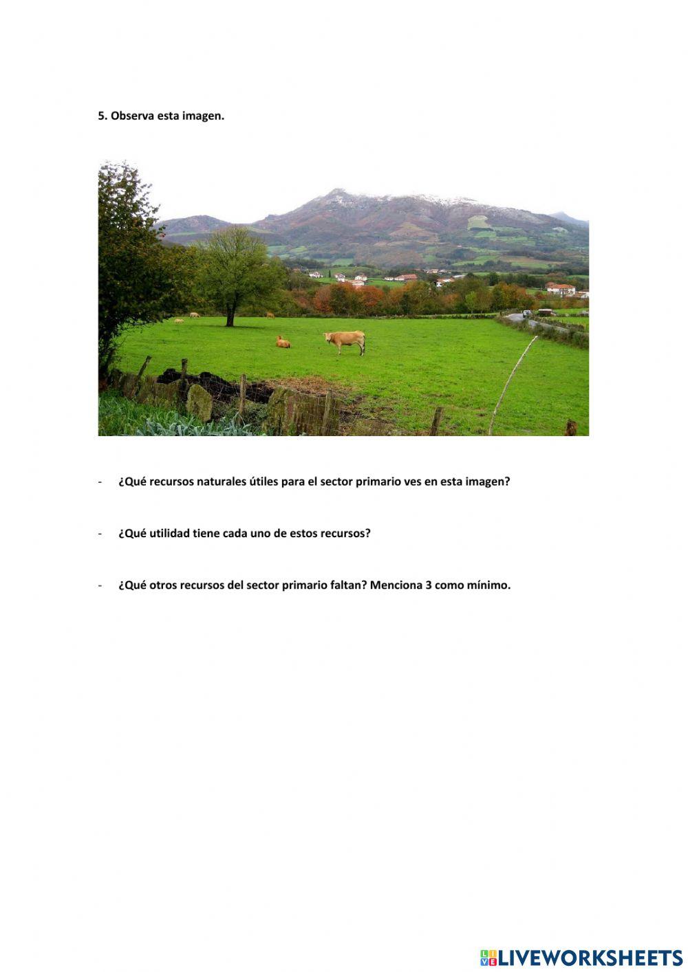 Actividades sobre sector primario