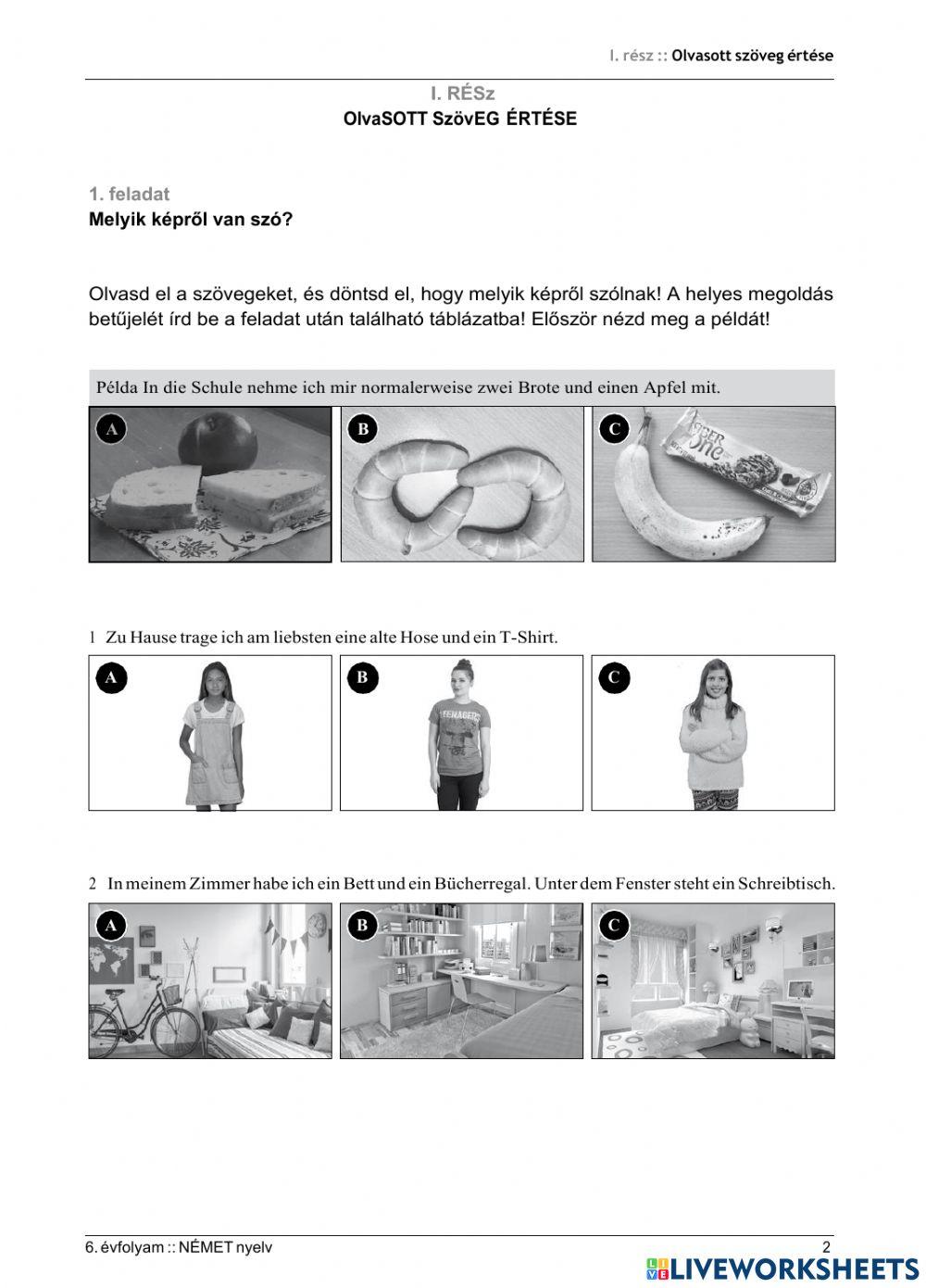 Olvasott szöveg értése