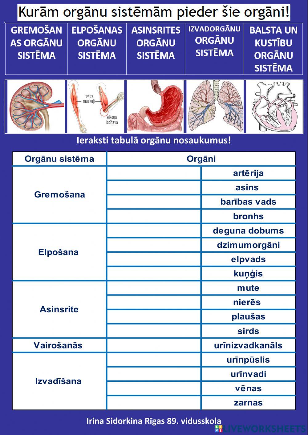 Orgānu sistēmas