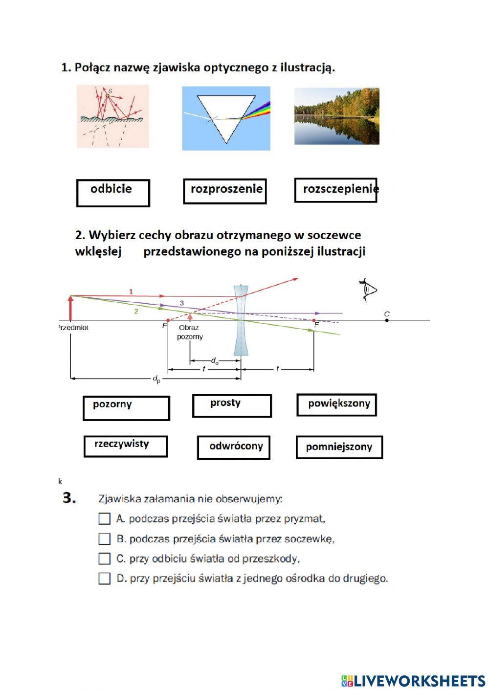 Próba-jak działa liveworksheets