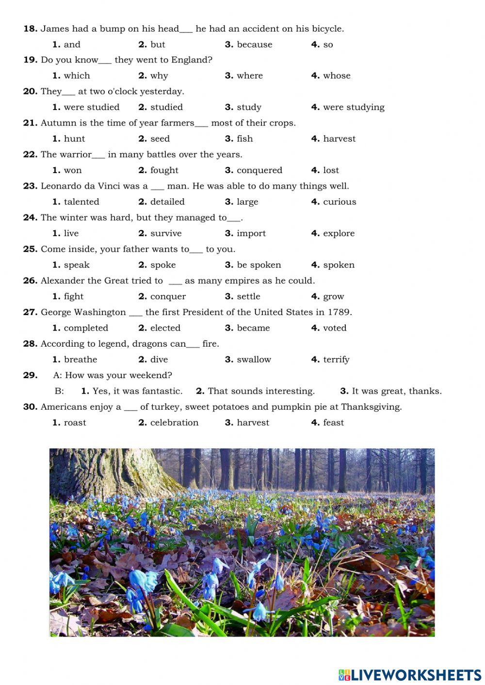 Spotlight 7 Task 7827