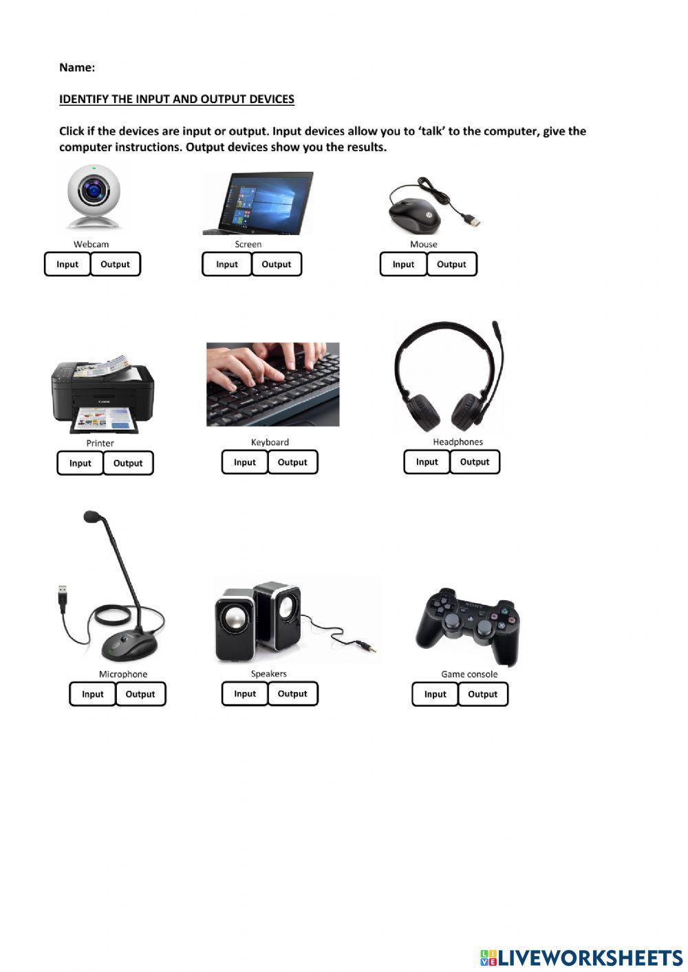 Identify the input and output devices