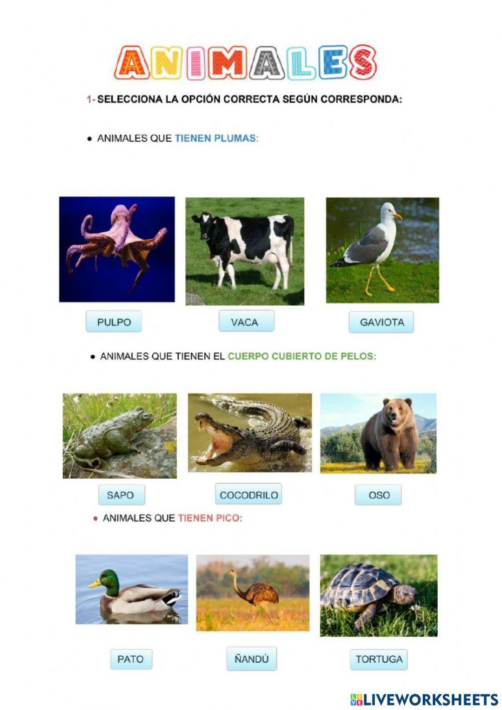 Animales