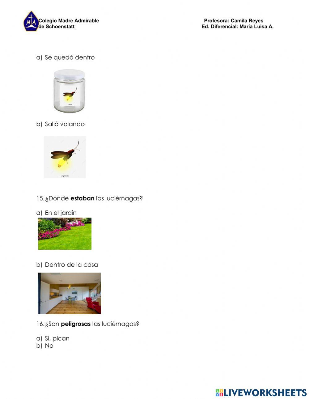 Evaluación Diagnóstica