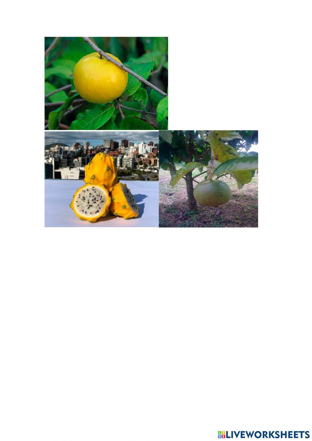 Frutas de la sierra ecuatoriana: