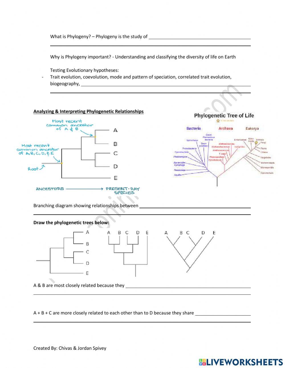 Cladograms & Trees Video Notes with video online exercise