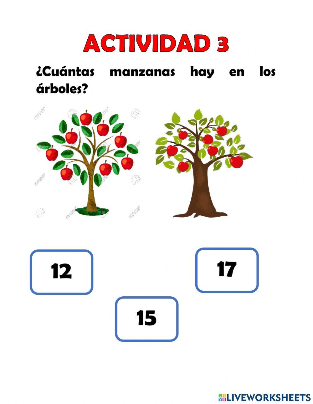 Olimpiada matemática - ciclo 1