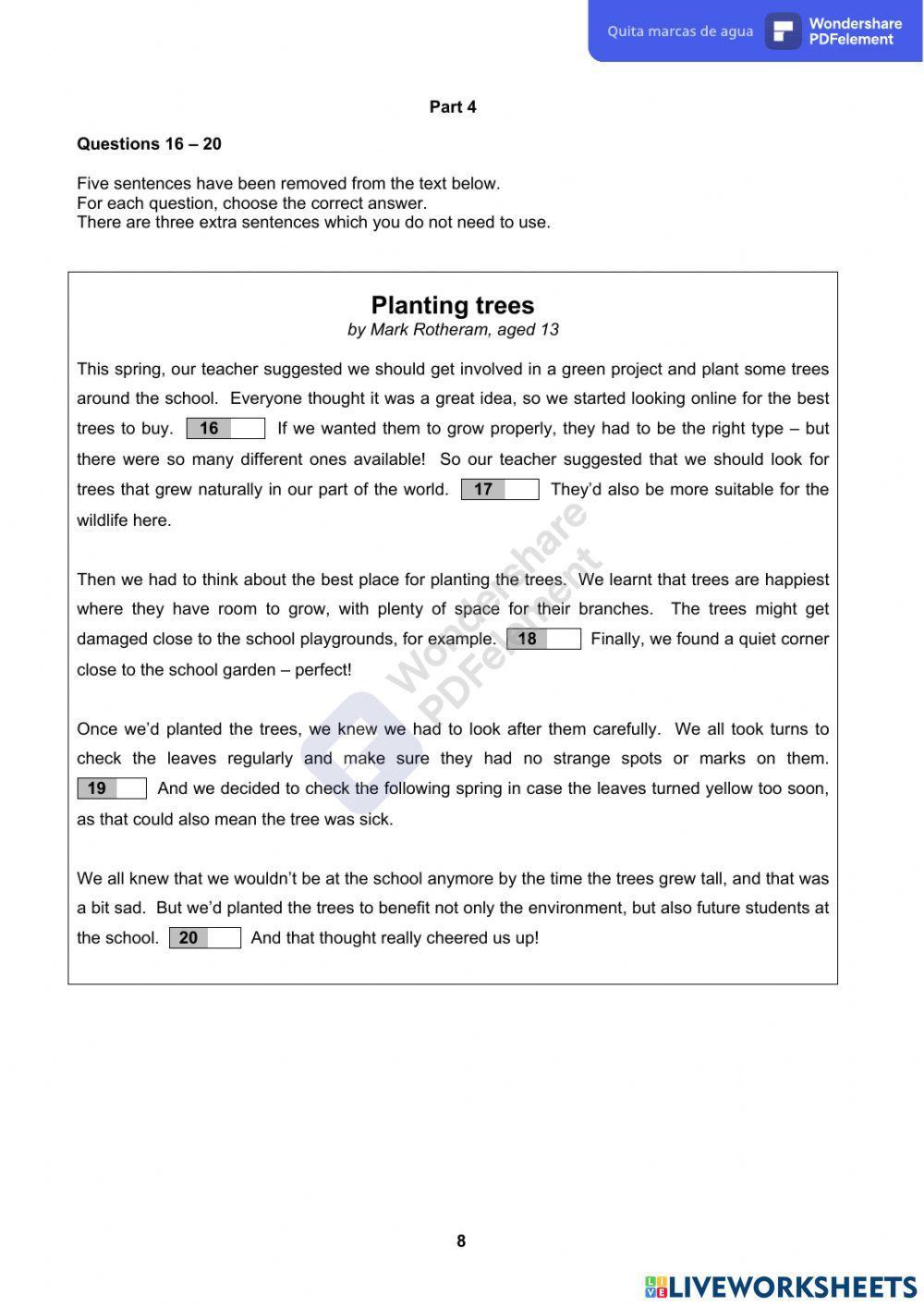 Pet Exam 2-Reading Paper (parts 4, 5 and 6)