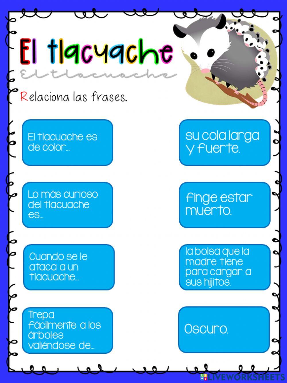 El tlacuache