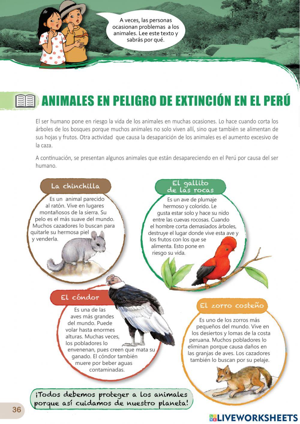 Comprensión lectora