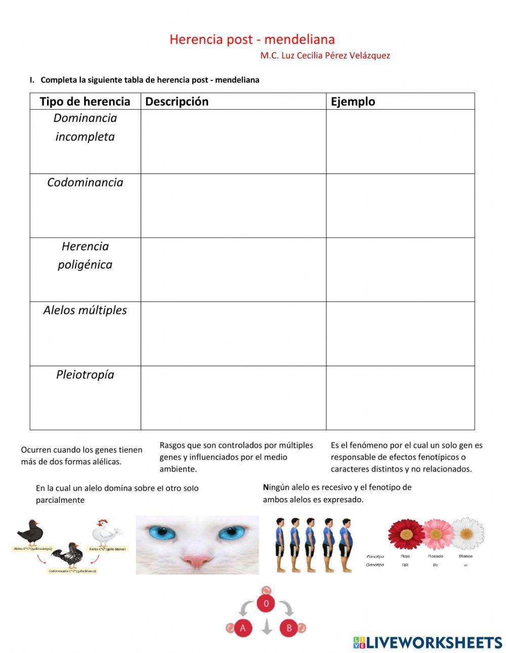 Herencia post-m… | Free Interactive Worksheets | 922937, image size:1000x1291