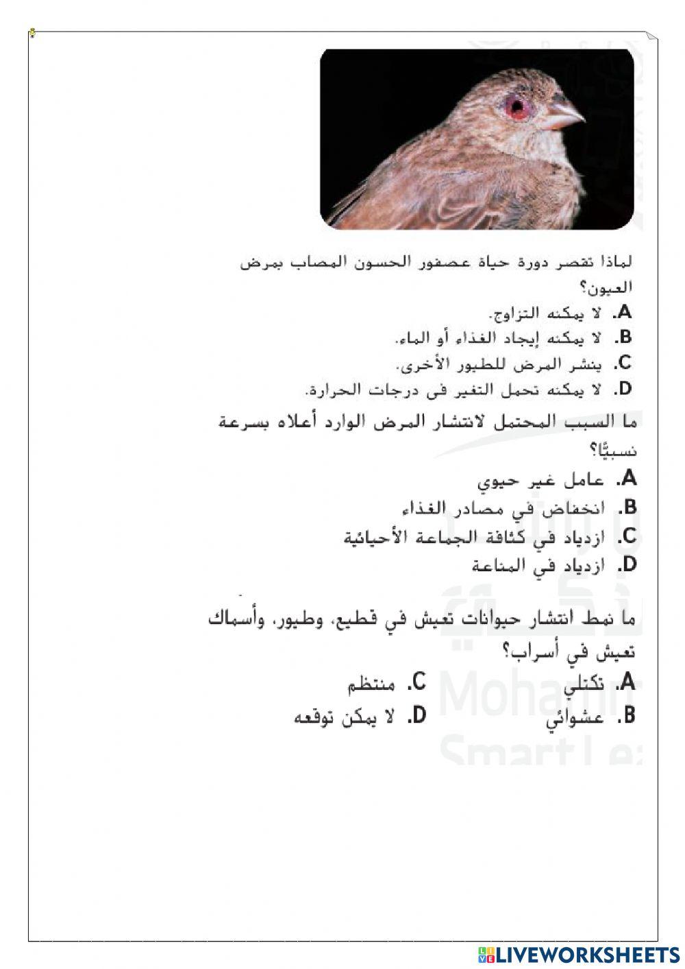 ورقة عمل تفاعلية