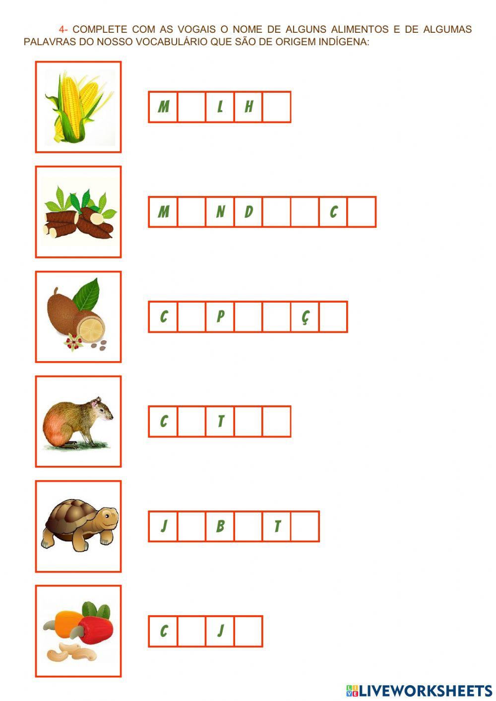 19 de abril - dia do índio