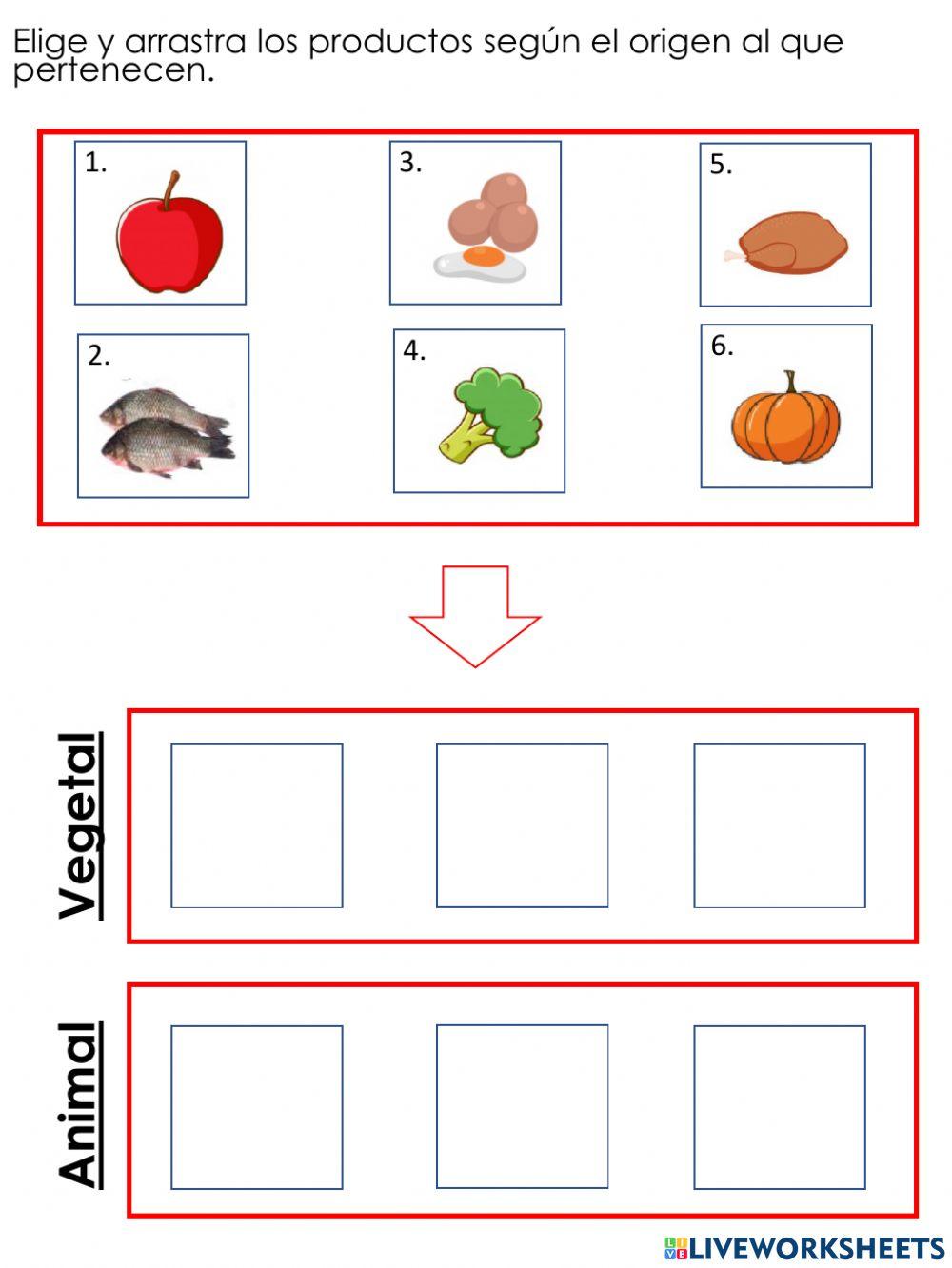 Alimentos y sers vivos