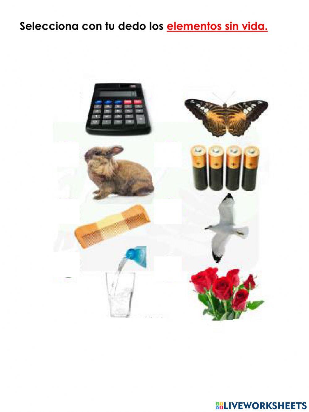 Alimentos y sers vivos