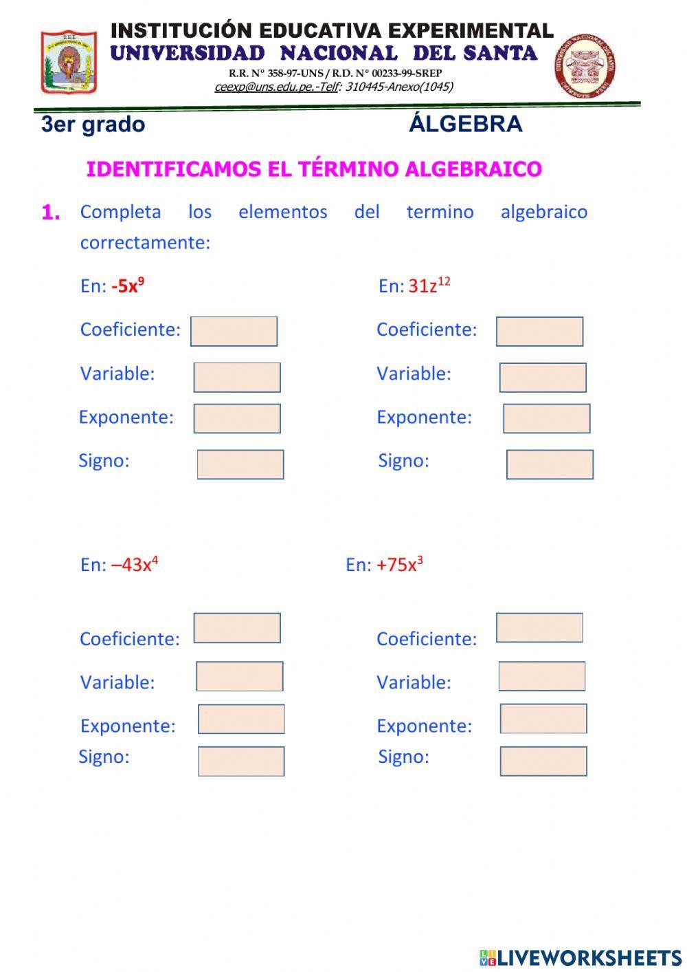 Terminos algebraicos