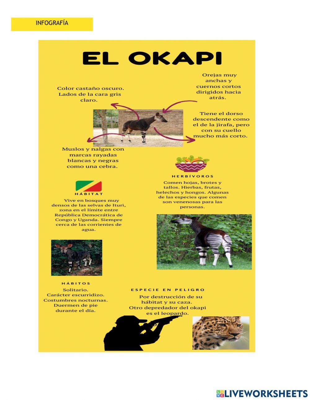 Reflexión sobre el texto