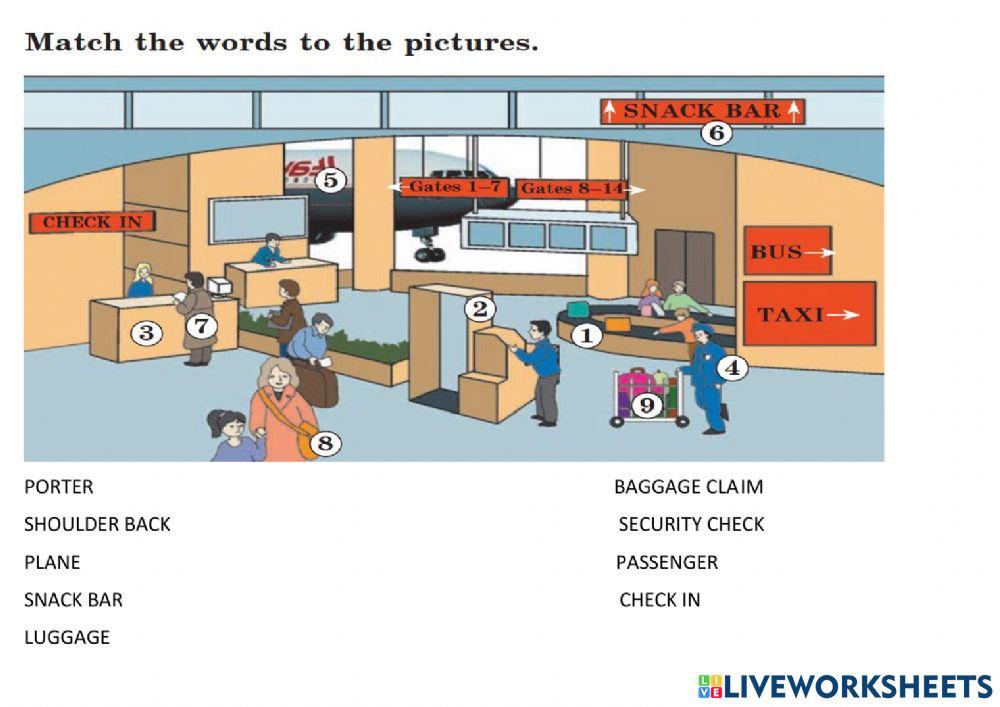 Vocabulary.Travelling by plane