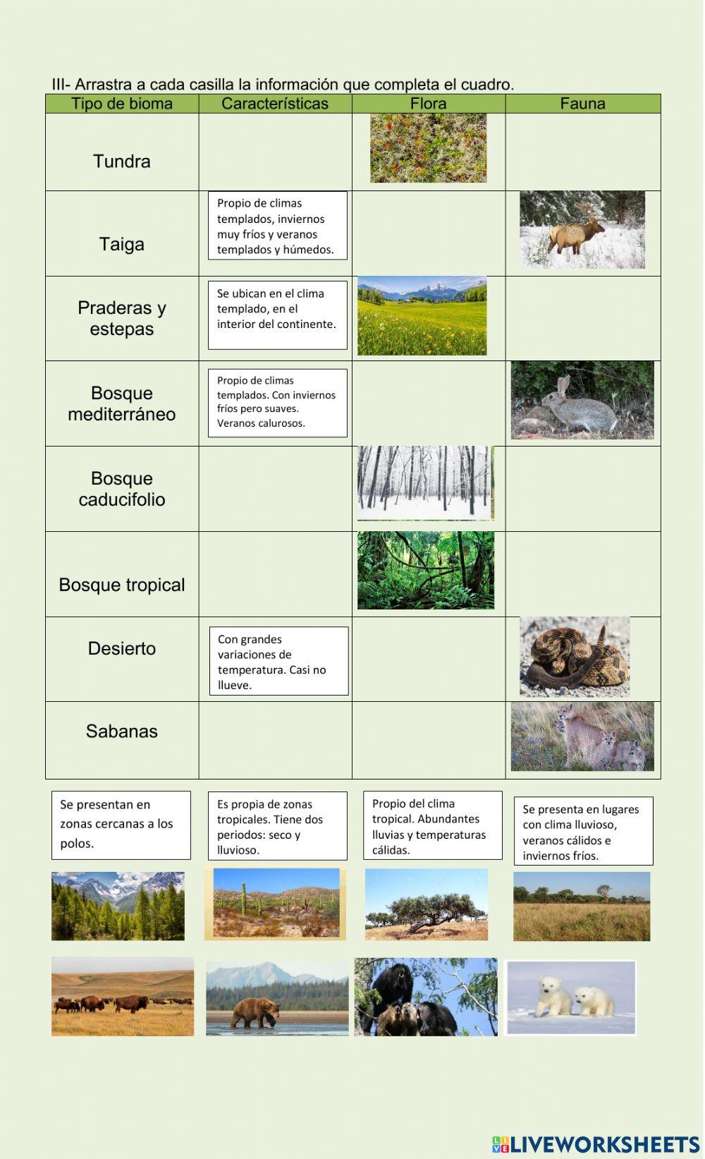 Clima y vegetación de América