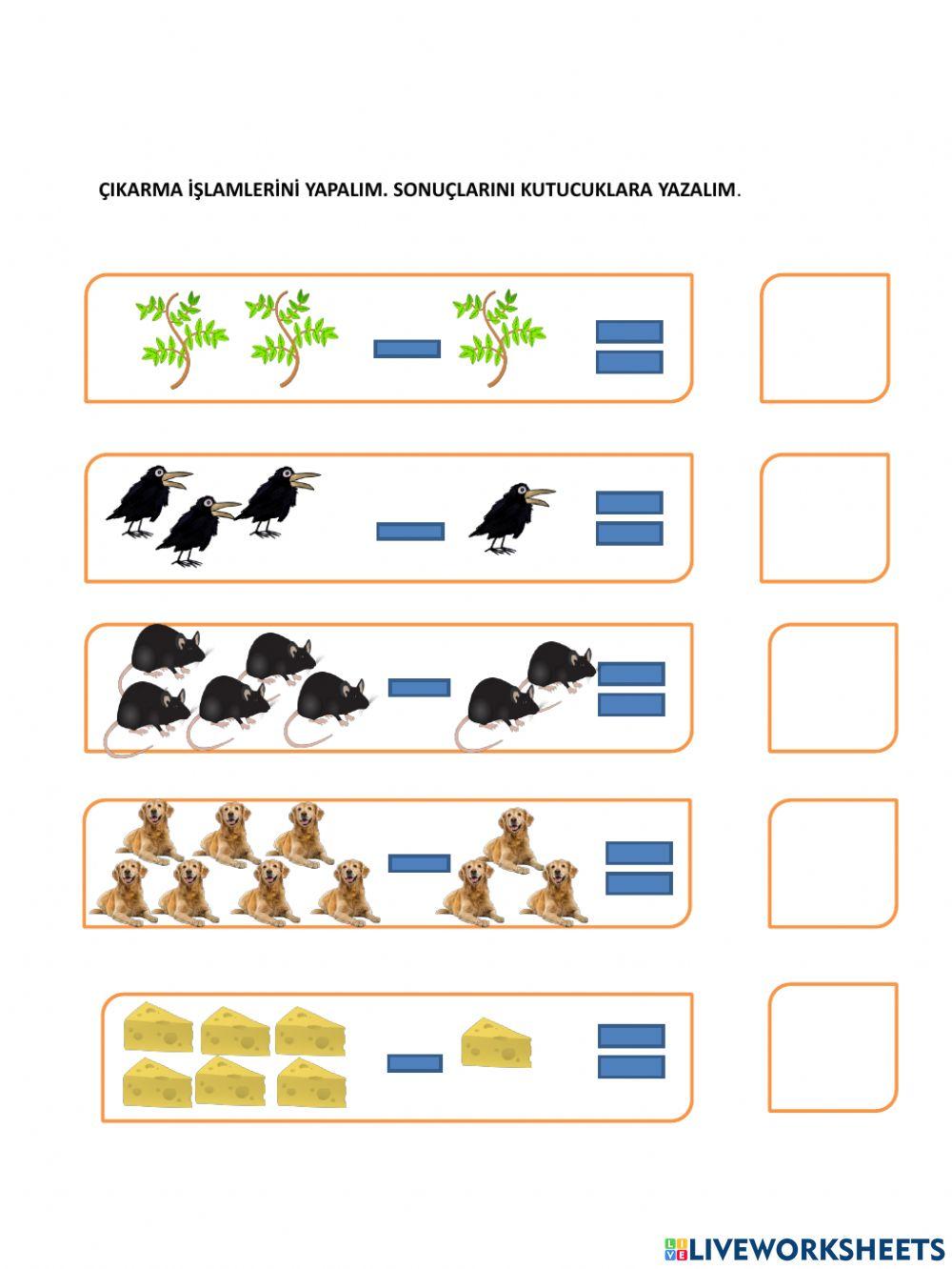 Çikarma i̇şlemi̇