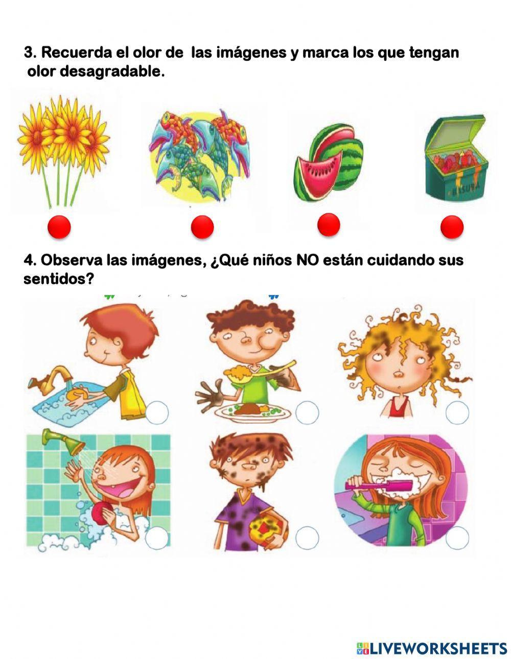 1°Ciencias naturales: Los sentidos 22.04.2021