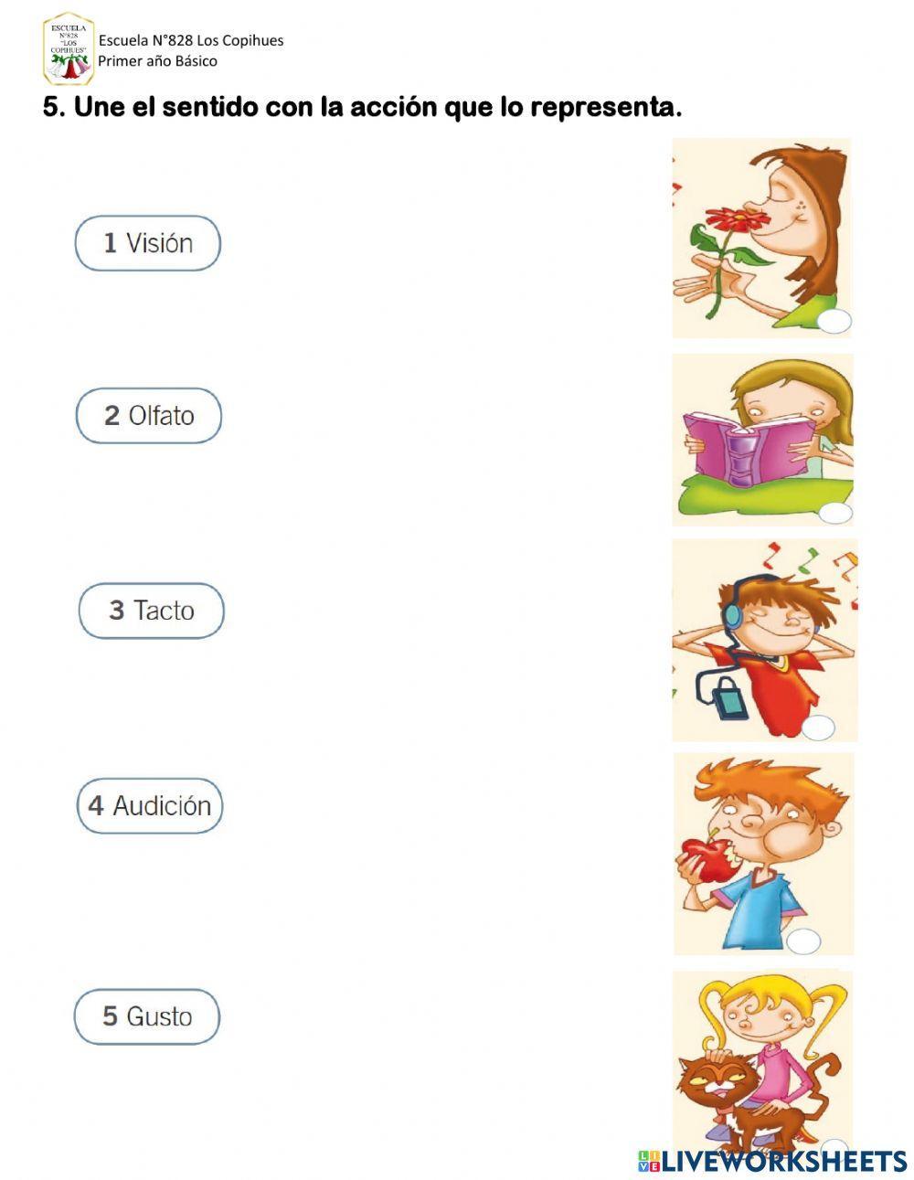 1°Ciencias naturales: Los sentidos 22.04.2021