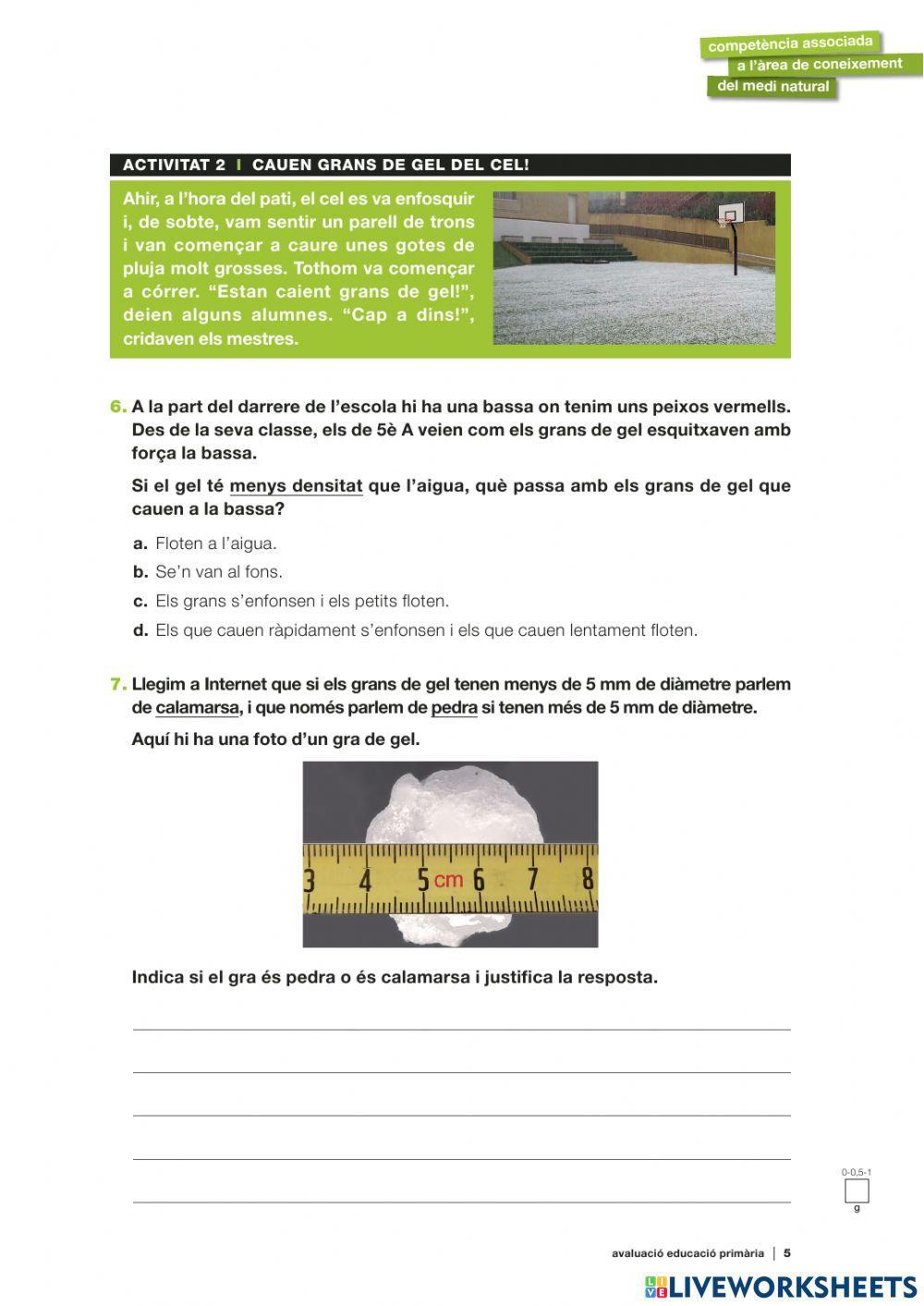 Competències bàsiques 2017-2018