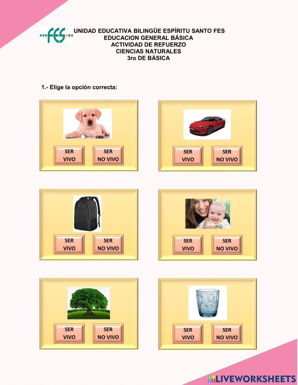 Seres vivos y seres no vivos recurso digital