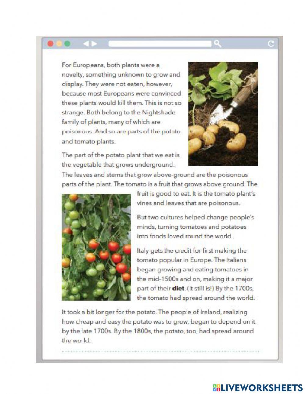 Potaotes and Tomatoes