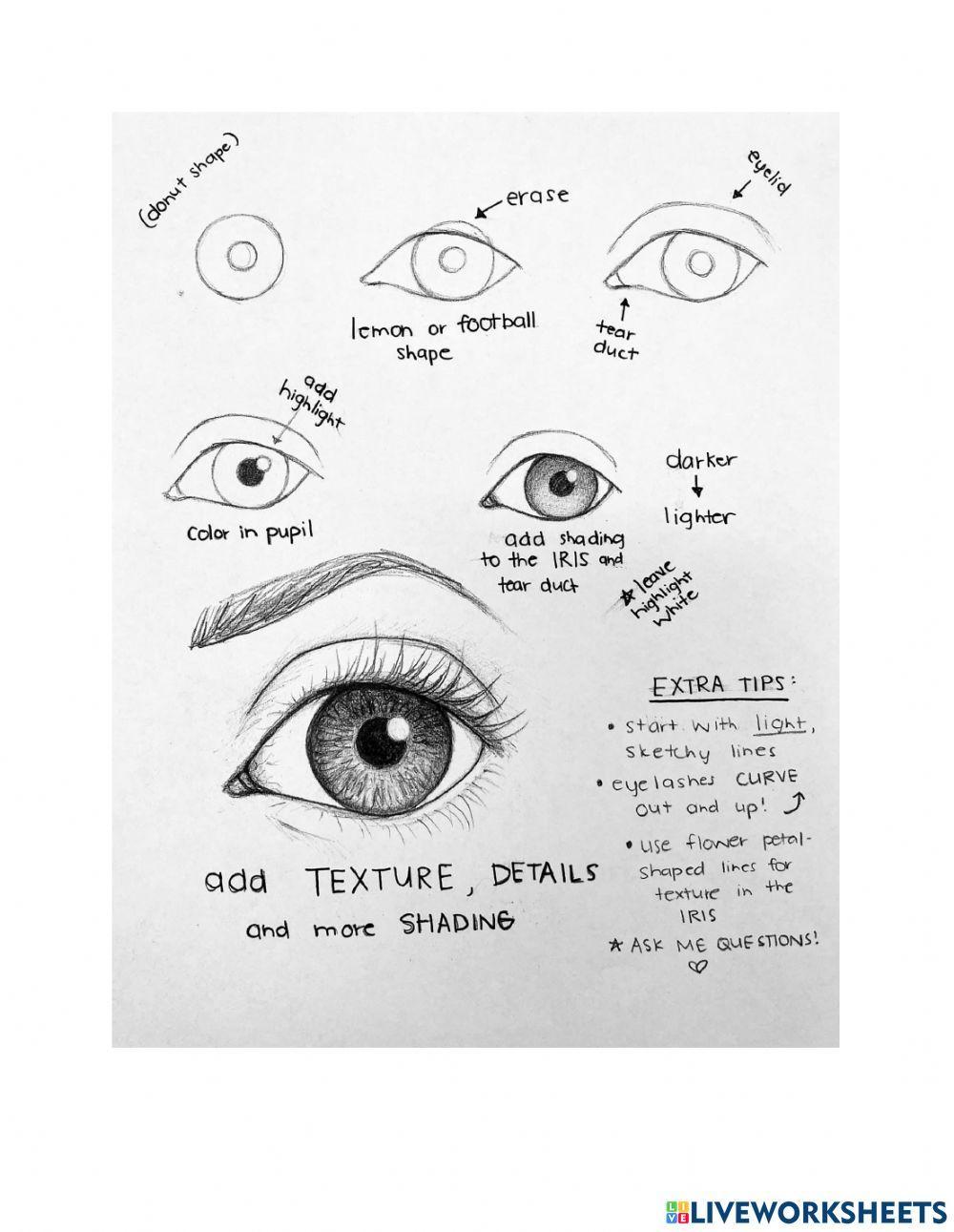 Drawing and Eye