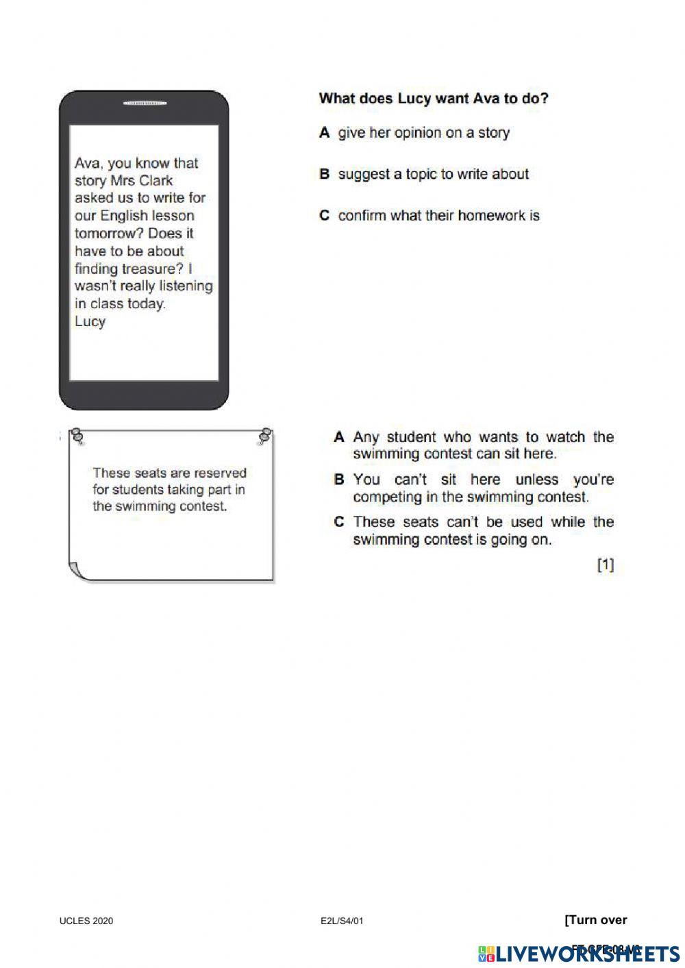 Diagnostic Test-trim 1- reading and writing 3rd grade
