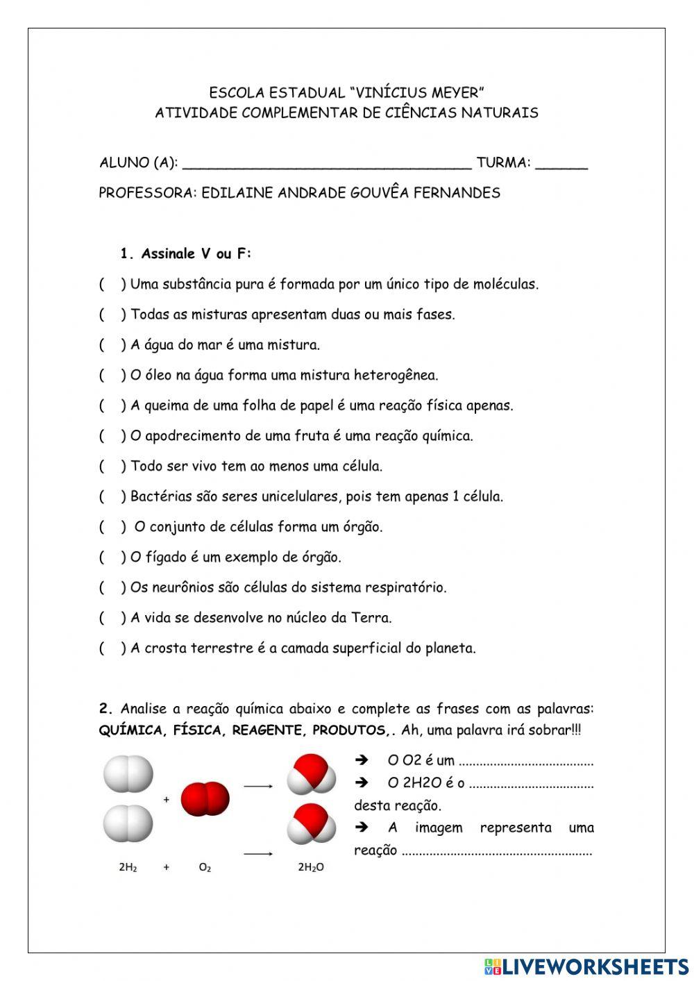 Revisão pet 1 - 7º ano 2021
