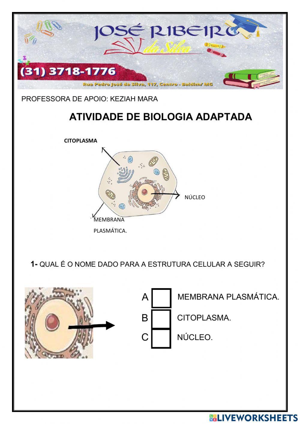 Atividade de biologia