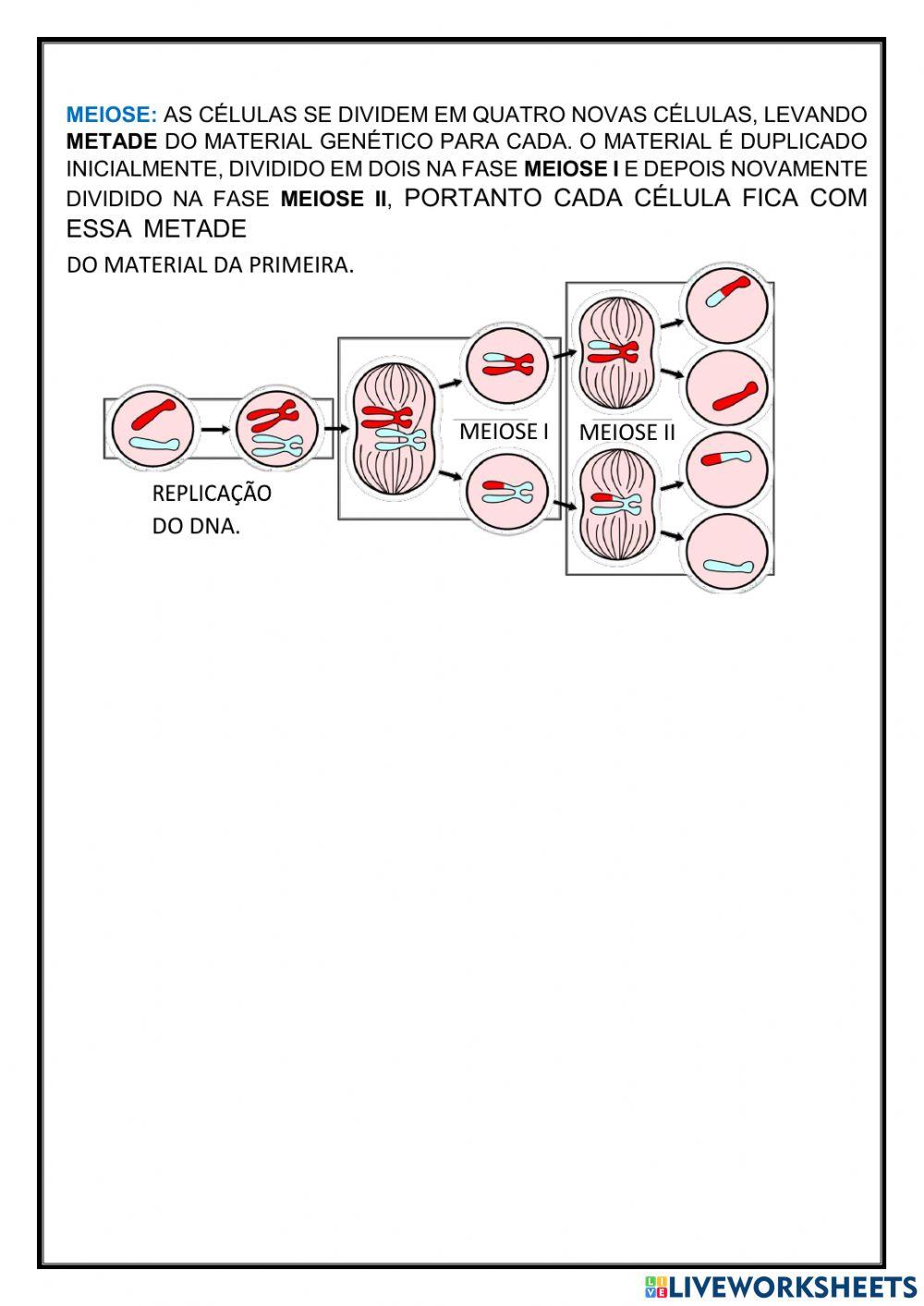 Atividade de biologia
