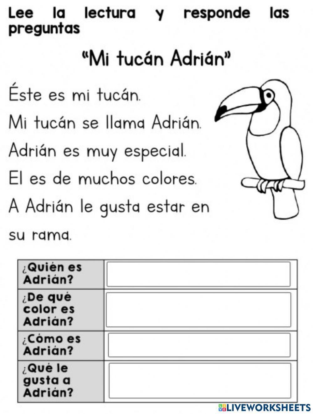 Mi tucán Adrian