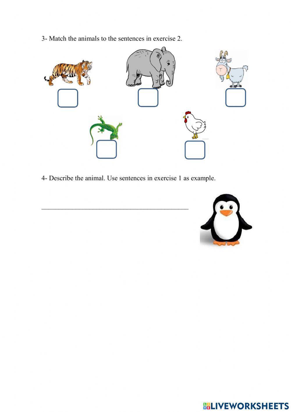 The order of adjectives