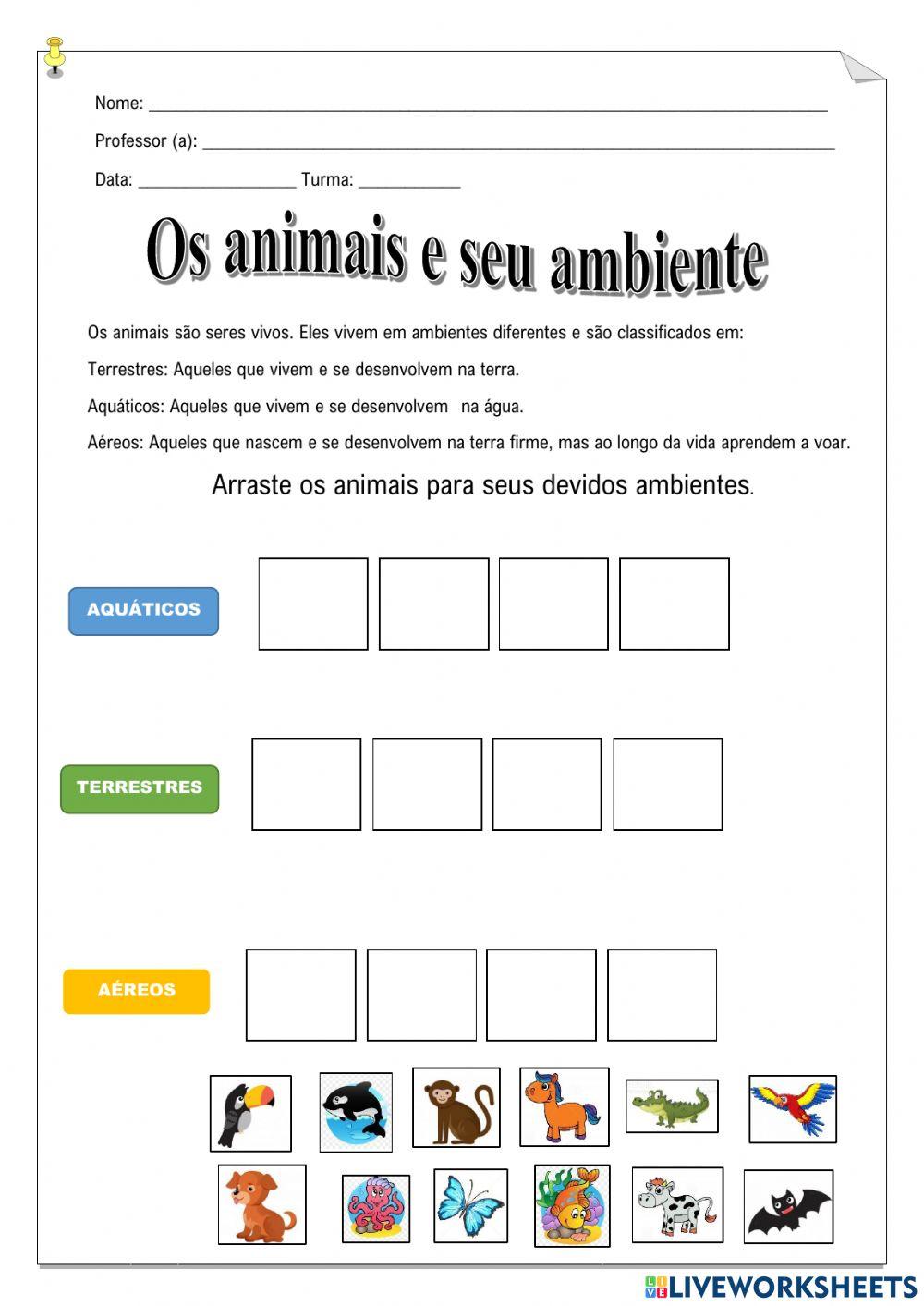 Animais e seus Ambientes