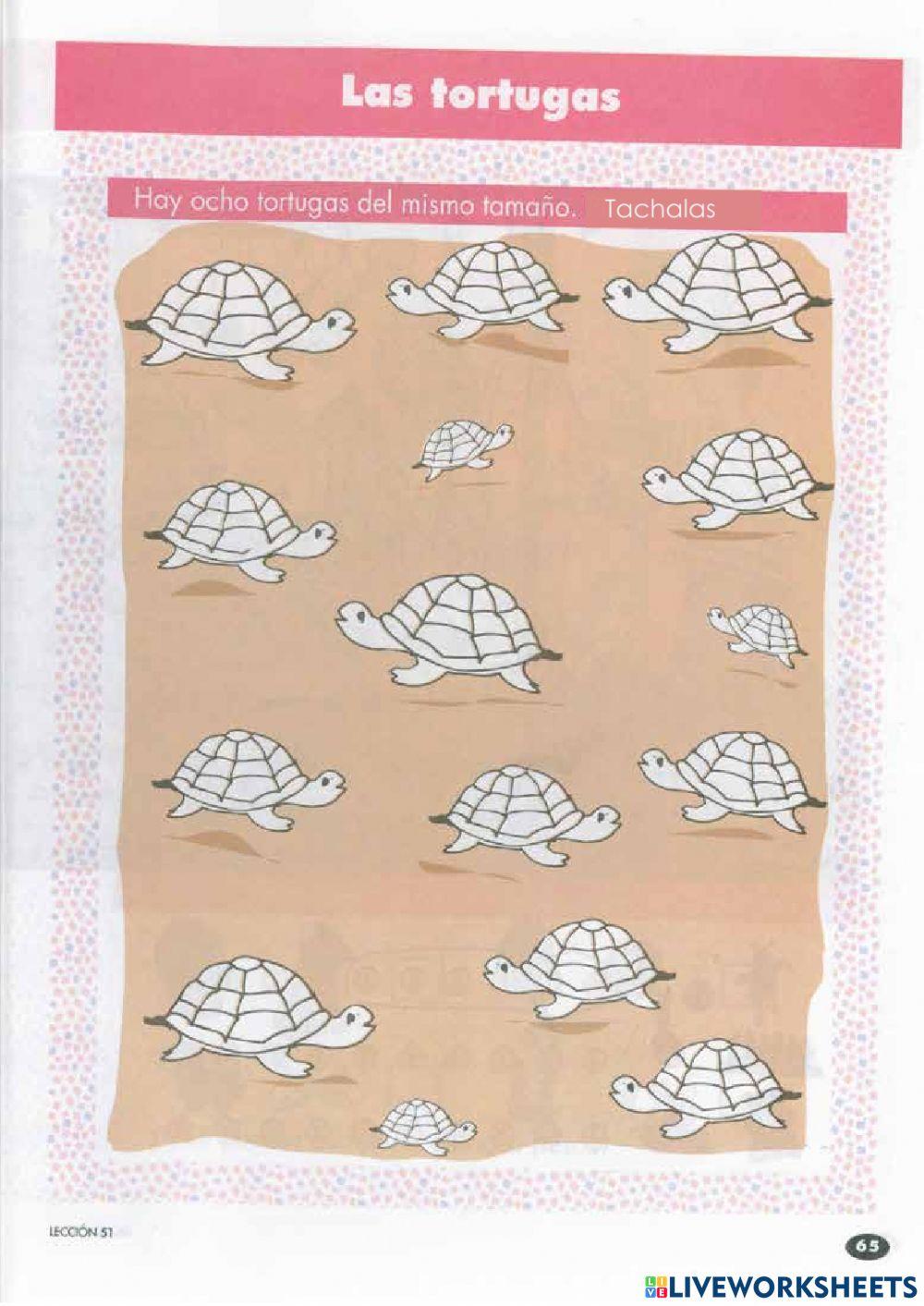 Actividad 26,las tortugas