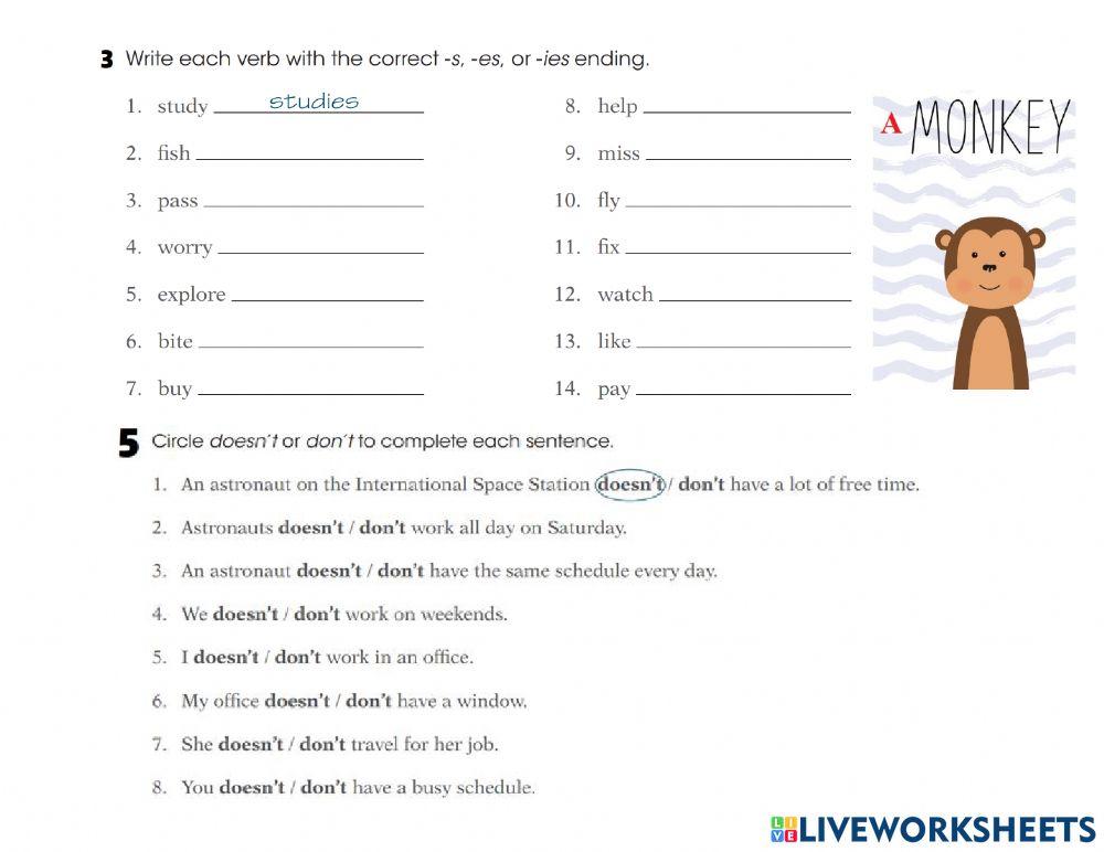 Present Simple Exercise